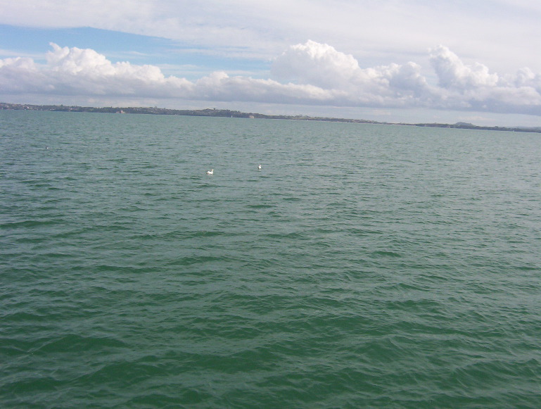 100_0213.JPG
