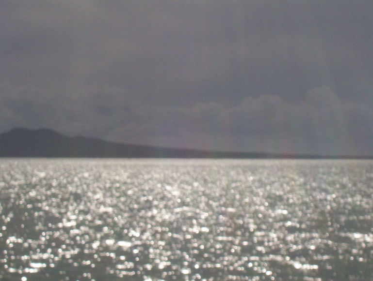 100_0222.JPG