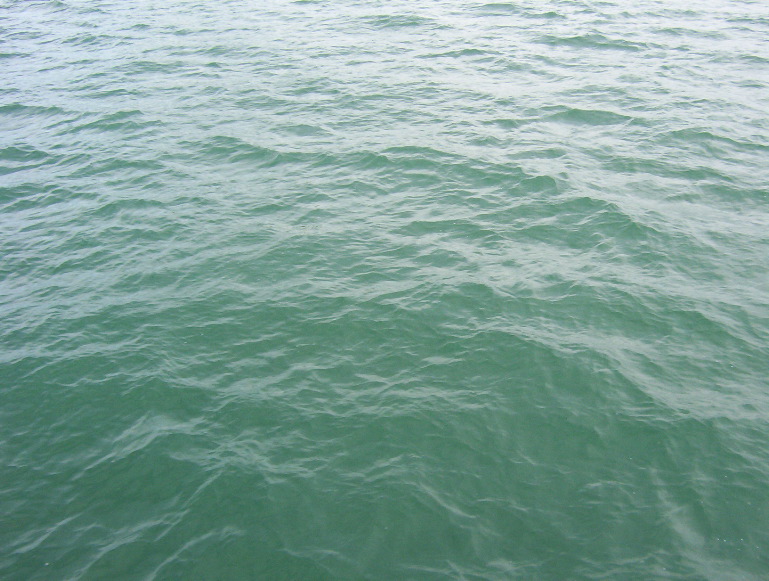 100_0230.JPG