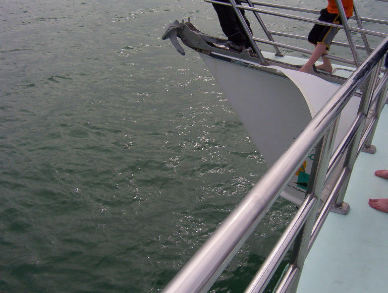 100_0233.JPG