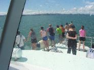 100_0178.JPG