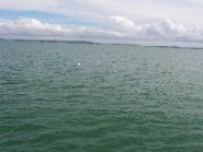 100_0213.JPG