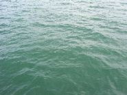100_0230.JPG