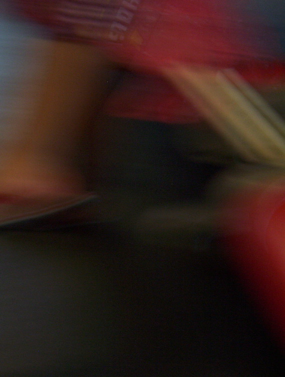 100_0562.JPG