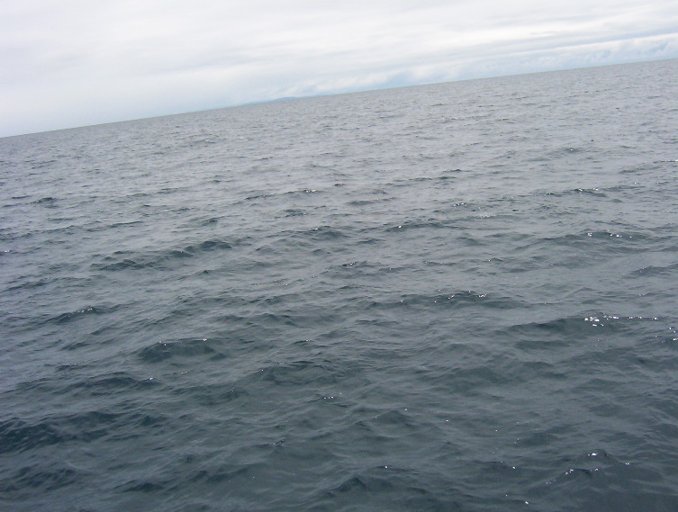 100_0533.JPG