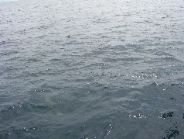 100_0537.JPG