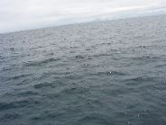 100_0533.JPG